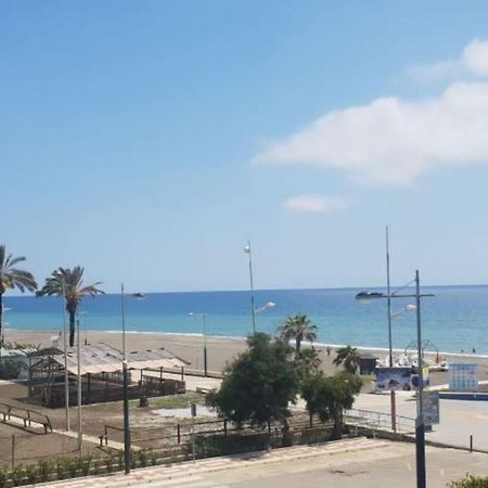 טורוקס Gasparilla מראה חיצוני תמונה